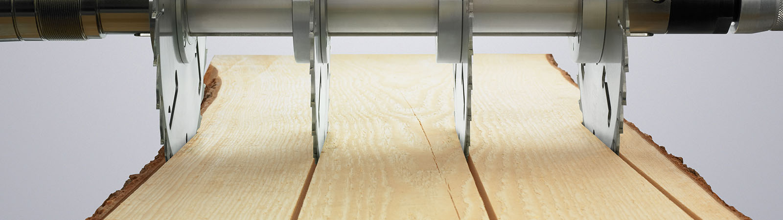 WEINIG SOLID RIP V 310